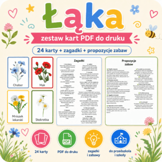 Zestaw edukacyjny " Łąka"