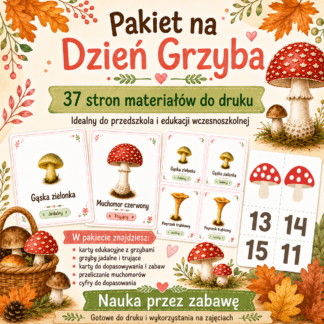 Mega zestaw - Dzień Grzyba