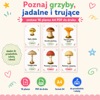 Poznaj grzyby- jadalne i trujące
