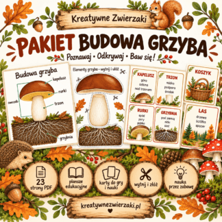 Pakiet edukacyjny „Budowa grzyba”