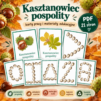 Dzień kasztana - wzory do ułożenia z kasztanów